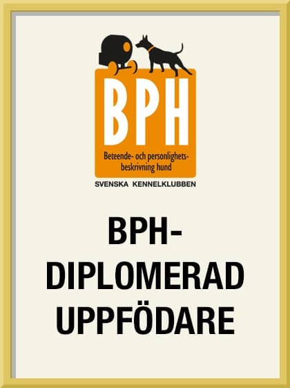 Touch The Stars är en diplomerad BPH-uppfödare